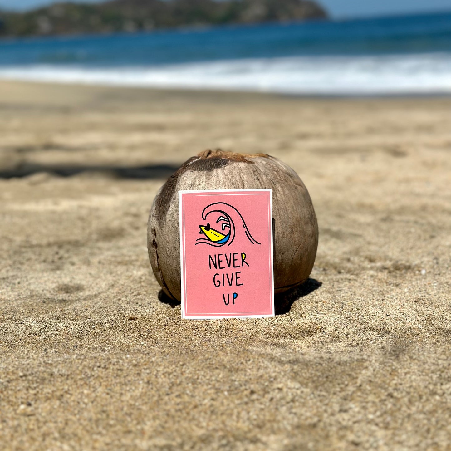 Sayulita stickers