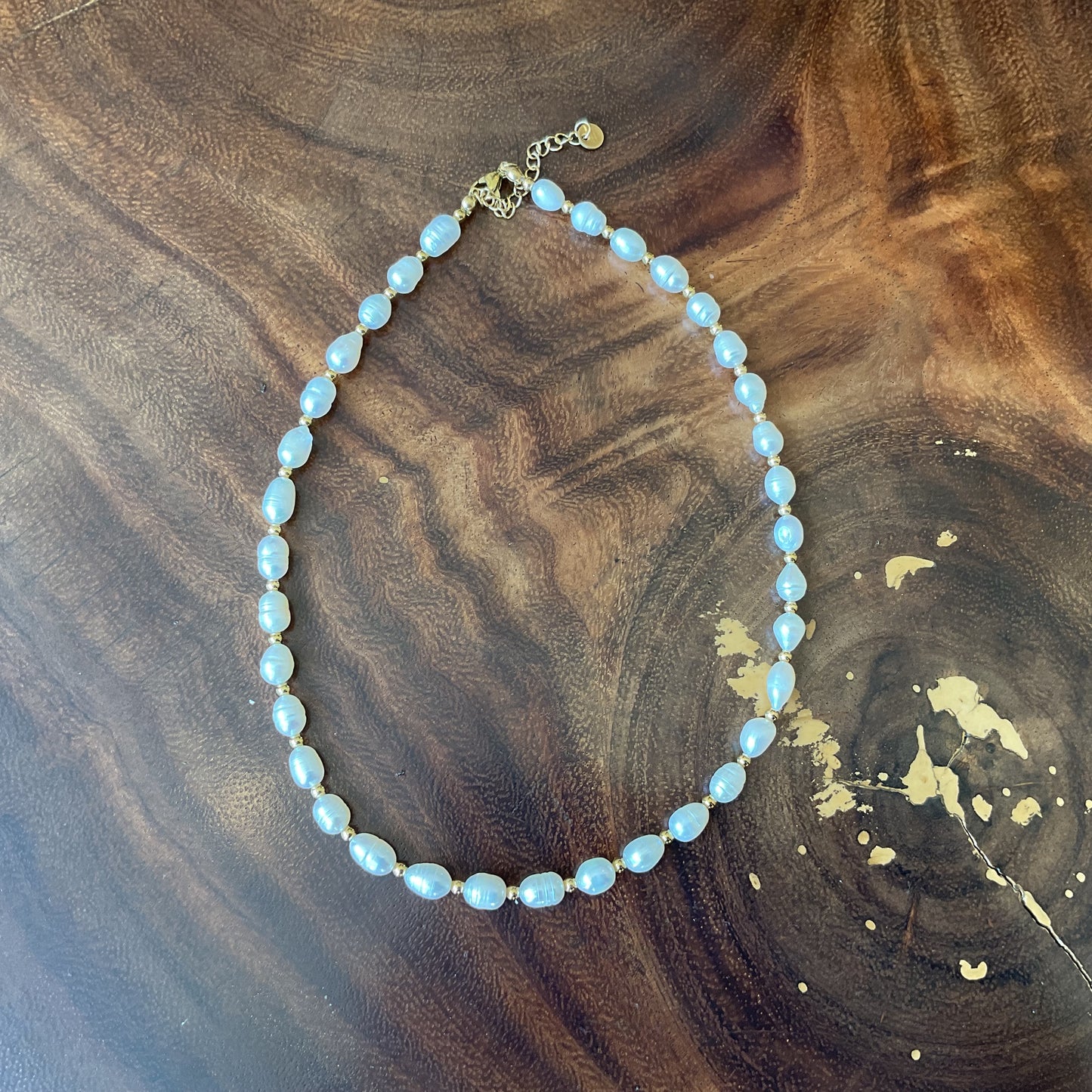 Collar Tuza Del Desierto