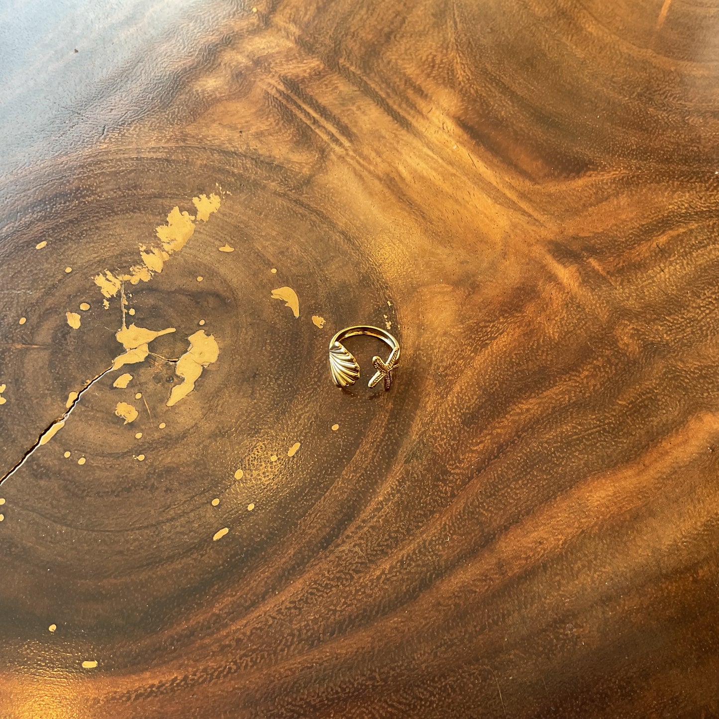 Anillo Concha-Estrella Del Desierto