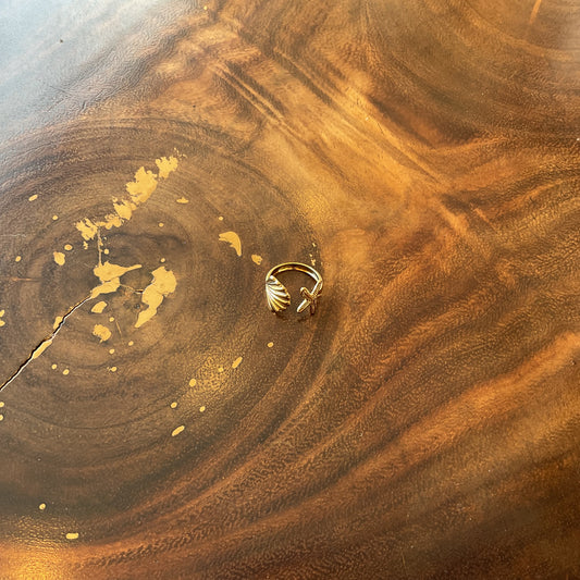 Anillo Concha-Estrella Del Desierto