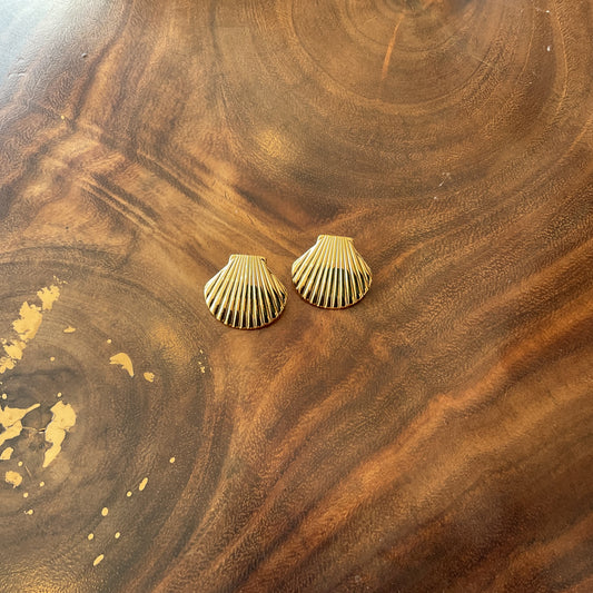 Arete Concha Golden Del Desierto