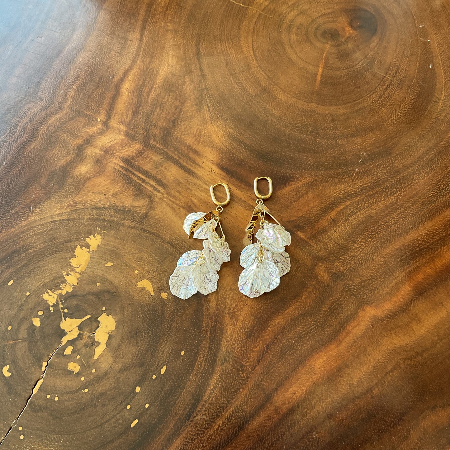 Arete Ane Largo Del Desierto