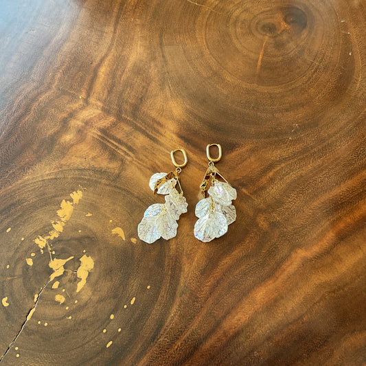 Arete Ane Largo Del Desierto